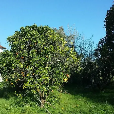 A Casinha Vakantiehuis Vila Nova de Ancos