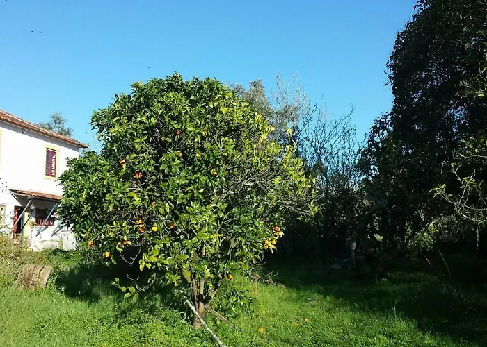 A Casinha Сasa de vacaciones Vila Nova de Ancos